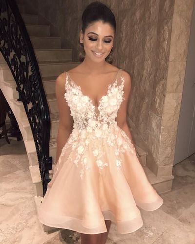 Elegant V Neck Organza Homecoming Dresses Floral Lace Embroidery cg6057