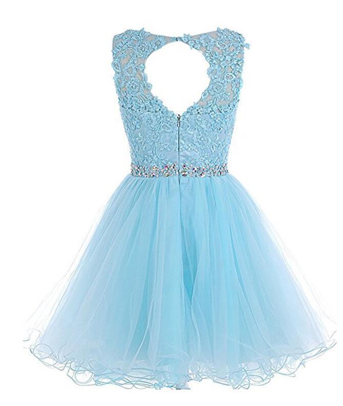 Short Homecoming Dresses Tulle Homecoming Dress    cg16078