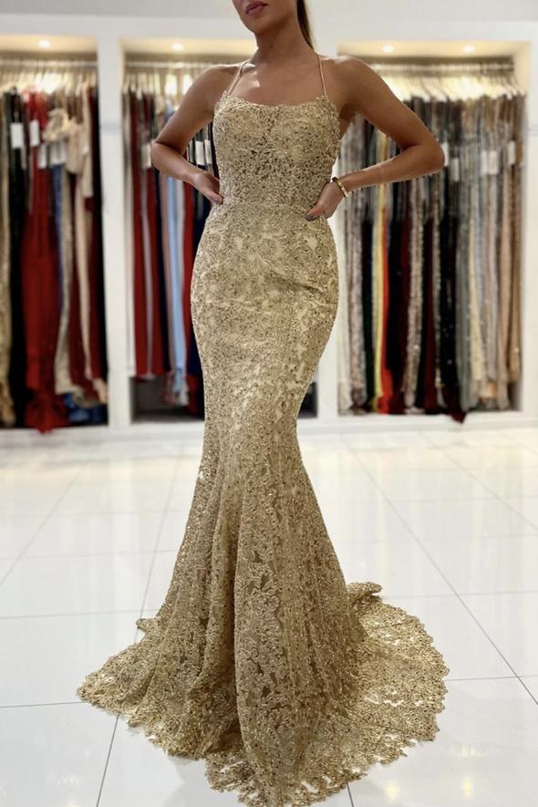 Mermaid lace long prom dress evening dress formal dress    cg19056