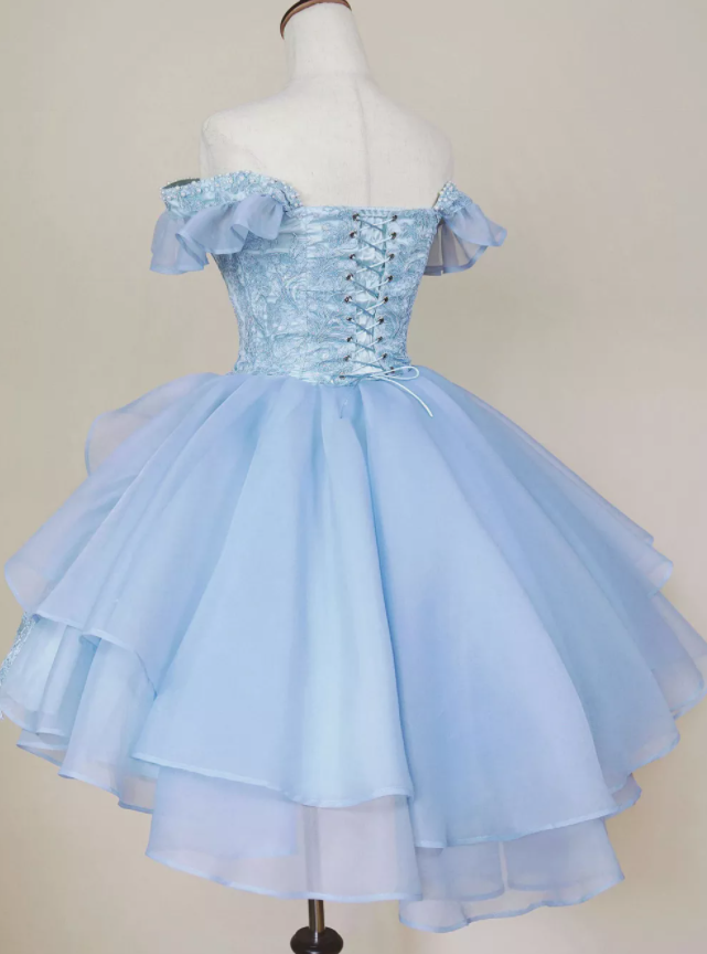 A-Line Short pink /blue Homecoming Dress   cg21638